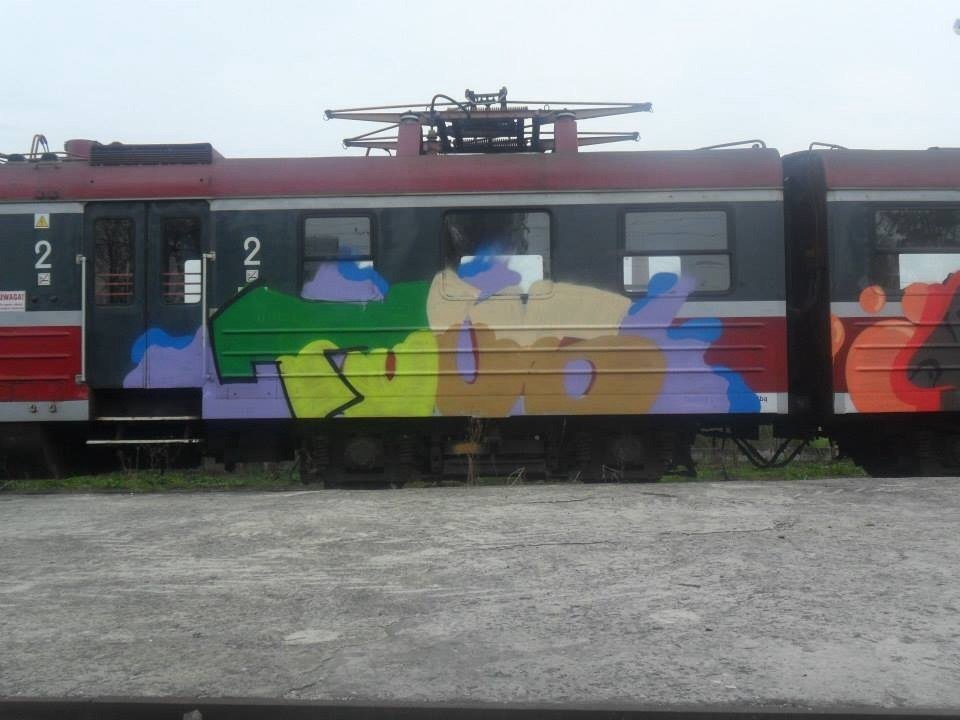 Graffiti Train - Photo by polandtrains