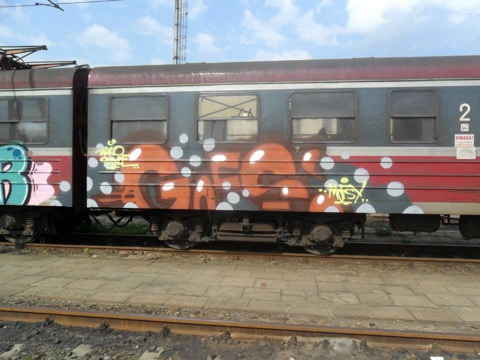 Graffiti Train - Photo by polandtrains