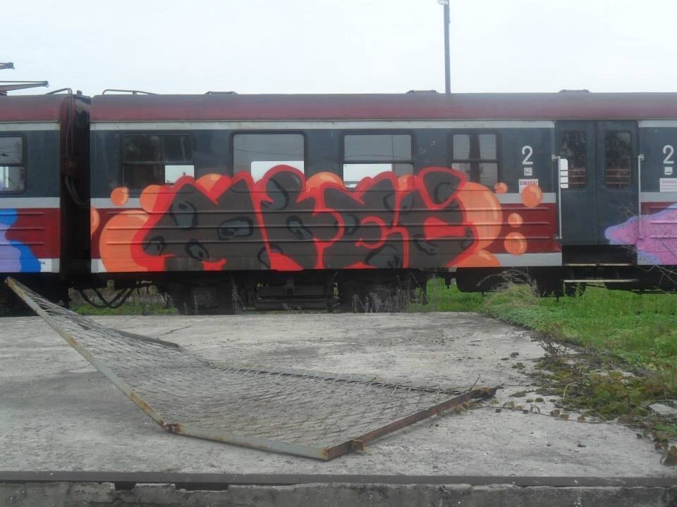 Graffiti Train - Photo by polandtrains