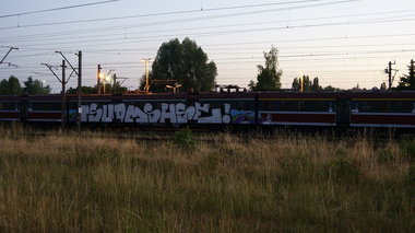Graffiti Train - Photo by polandtrains