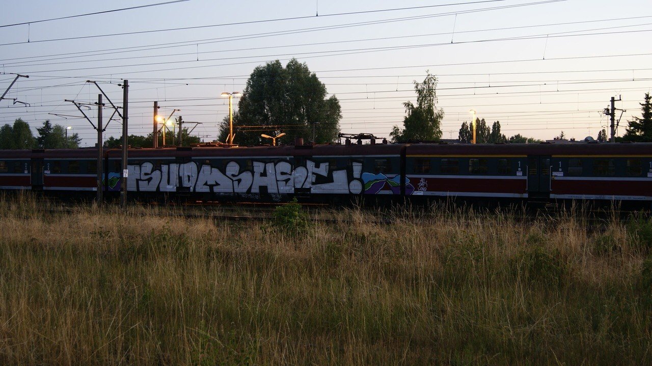 Graffiti Train - Photo by polandtrains