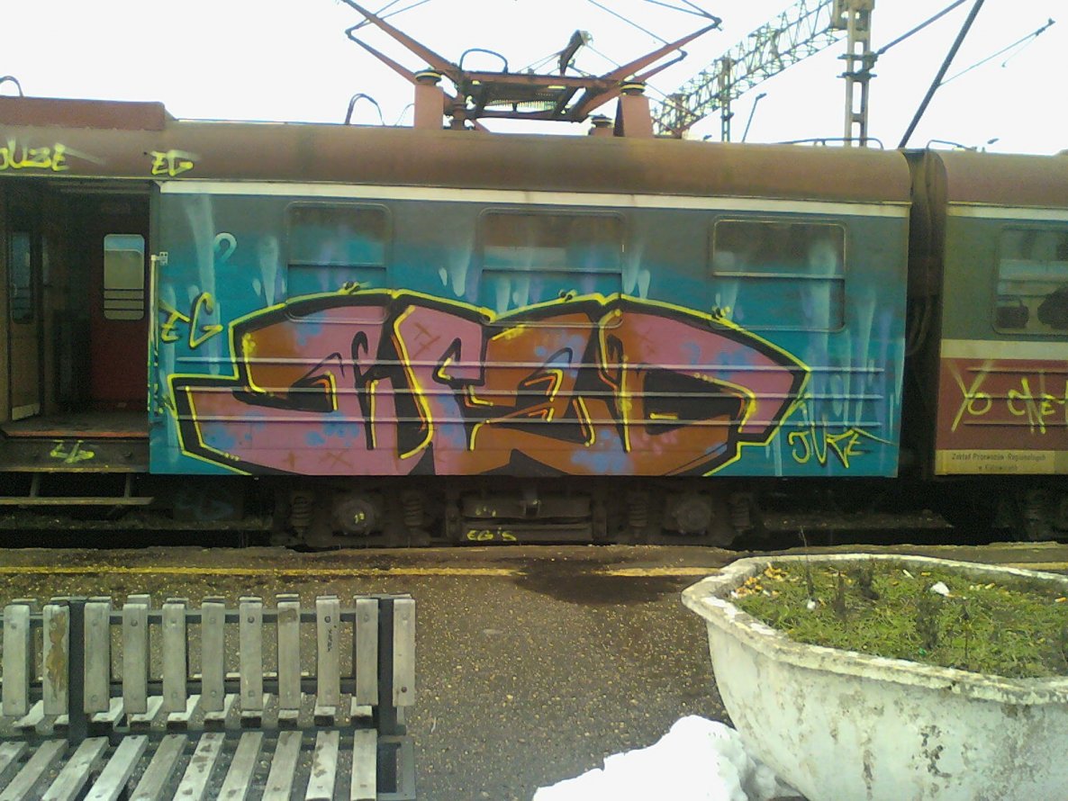 Graffiti Train - Photo by polandtrains