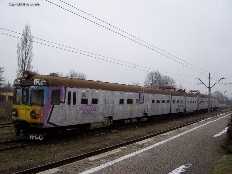 Graffiti Train - Photo by polandtrains