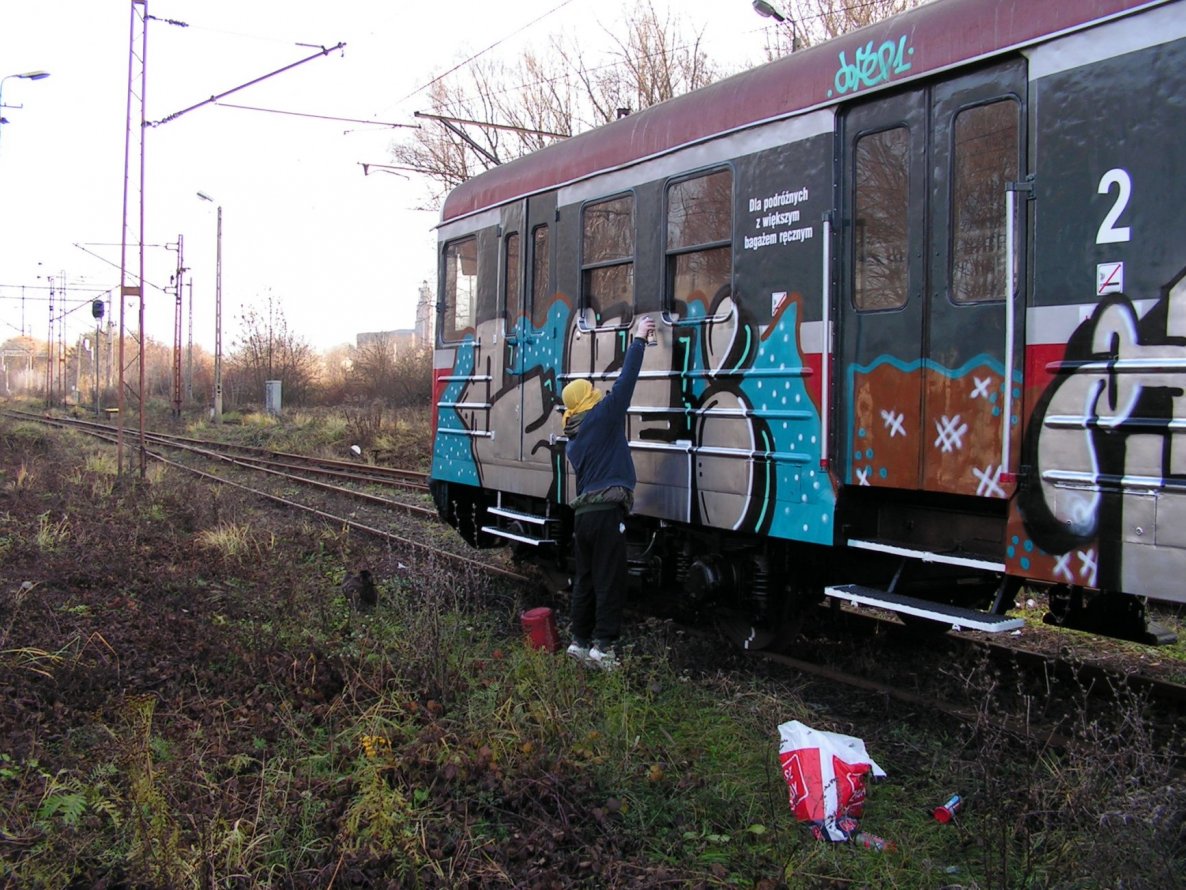 Graffiti Train - Photo by polandtrains