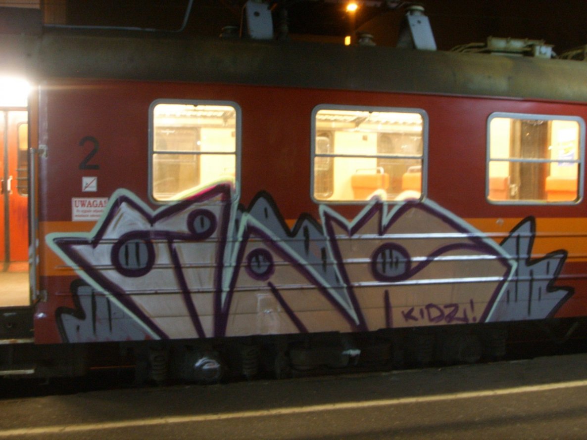 Graffiti Train - Photo by polandtrains