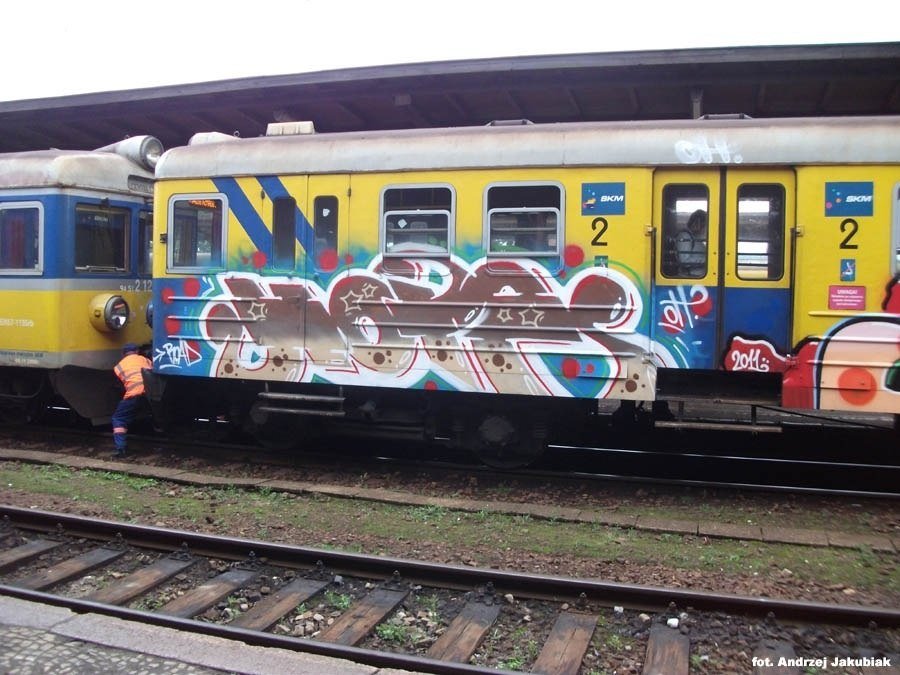 Graffiti Train - Photo by polandtrains