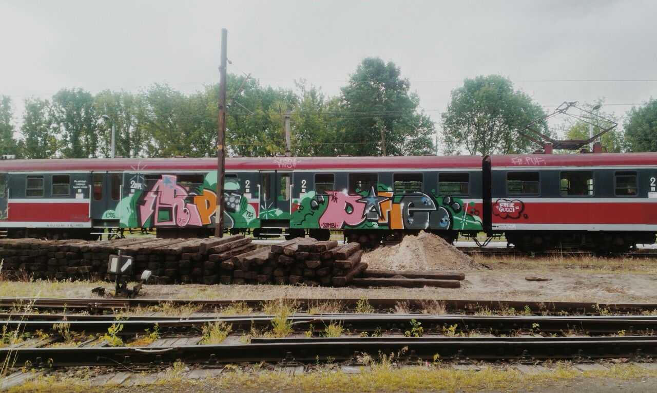 Graffiti Train - Photo by polandtrains