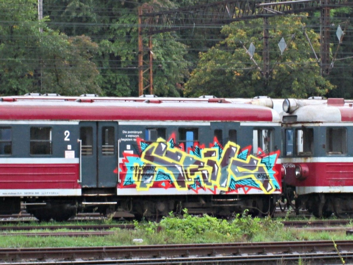 Graffiti Train - Photo by polandtrains