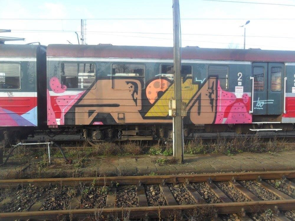 Graffiti Train - Photo by polandtrains