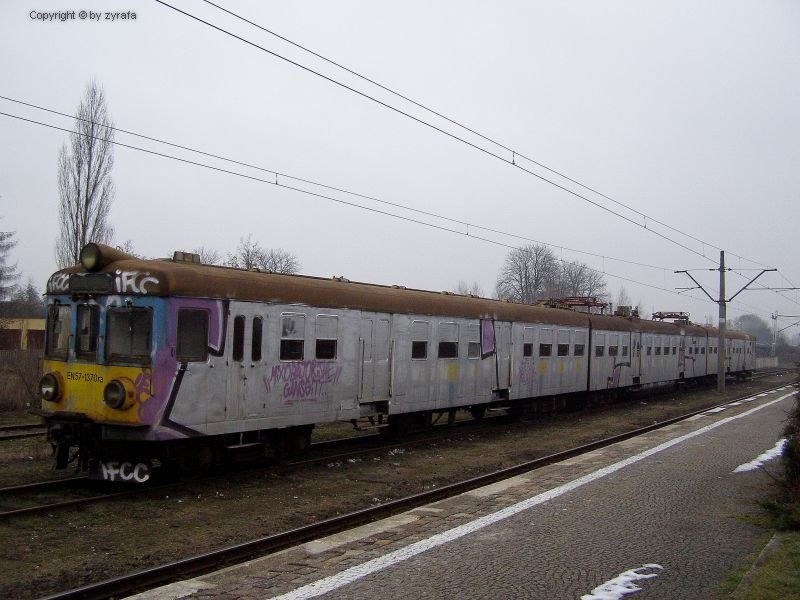 Graffiti Train - Photo by polandtrains