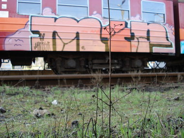 Graffiti Train - Photo by polandtrains