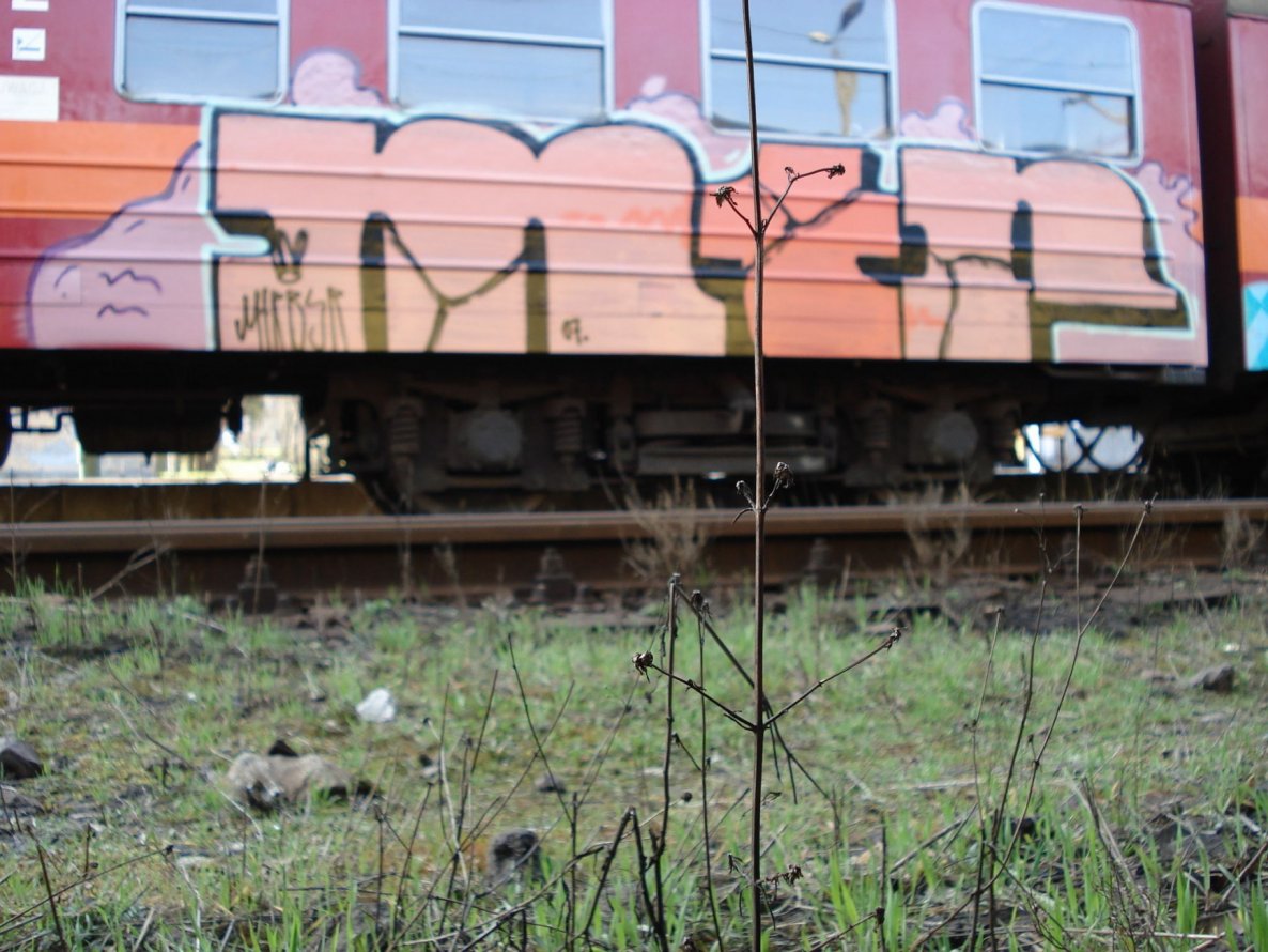 Graffiti Train - Photo by polandtrains