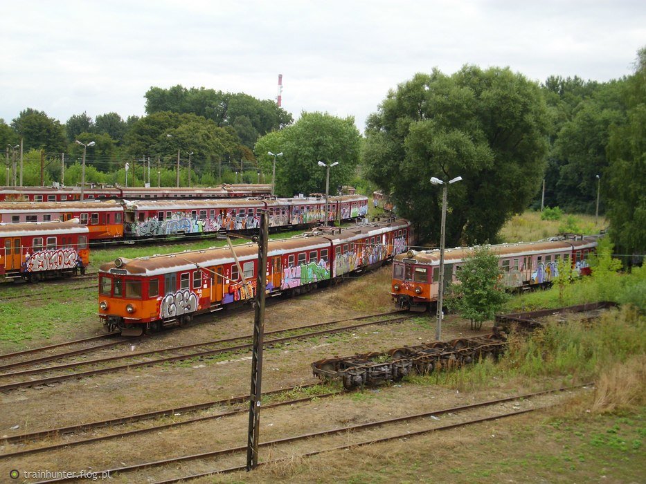 Graffiti Train - Photo by polandtrains