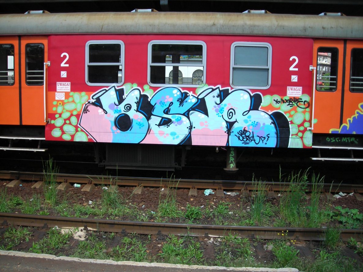 Graffiti Train - Photo by polandtrains