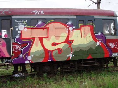 Graffiti Train - Photo by polandtrains