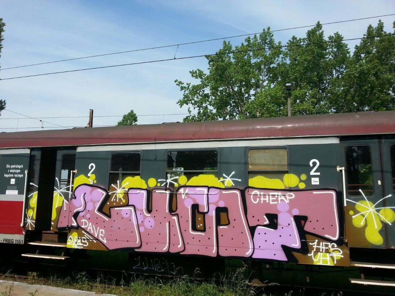 Graffiti Train - Photo by polandtrains