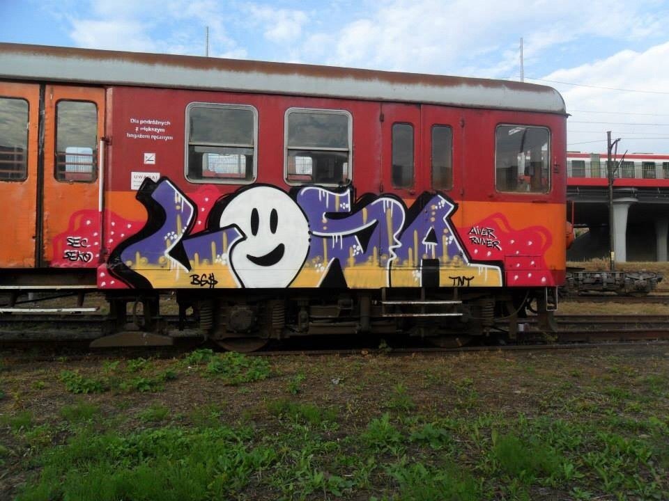 Graffiti Train - Photo by polandtrains