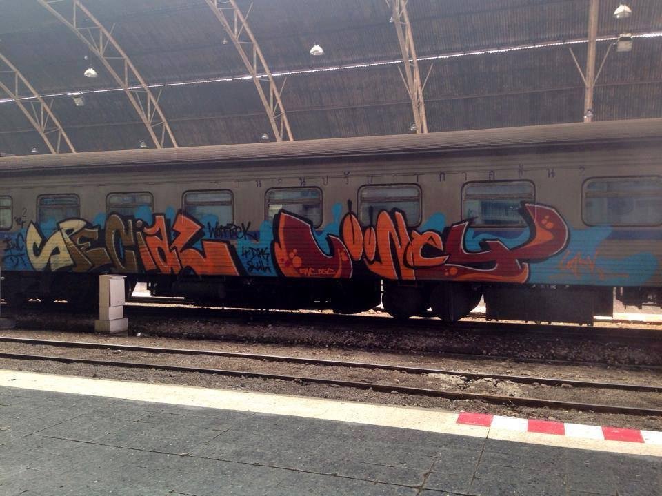 Graffiti Train - Photo by polandtrains