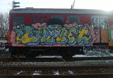 Graffiti Train - Photo by polandtrains