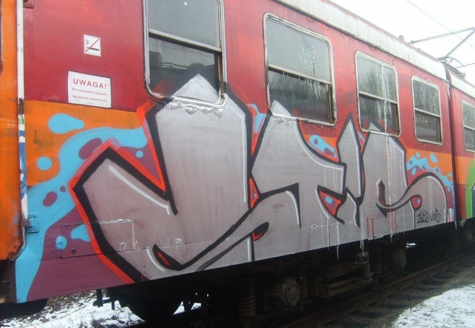 Graffiti Train - Photo by polandtrains