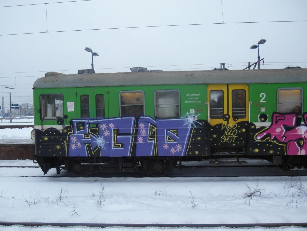 Graffiti Train - Photo by polandtrains