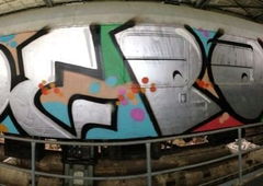 Photo #57443 by MENO