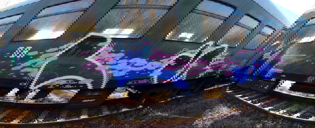 Graffiti Train - Photo by polizeihauptfrau - ROLE, kmh, mg (2014)