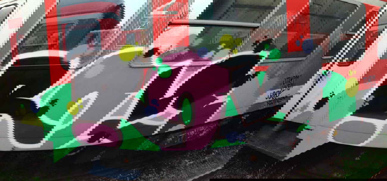 Graffiti Train - Photo by polizeihauptfrau - ROLE, KMH, MG (2014)