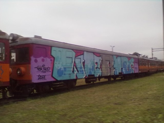 Graffiti Train - Photo by polskiezlote - wert, wertone, wer1 (2011)
