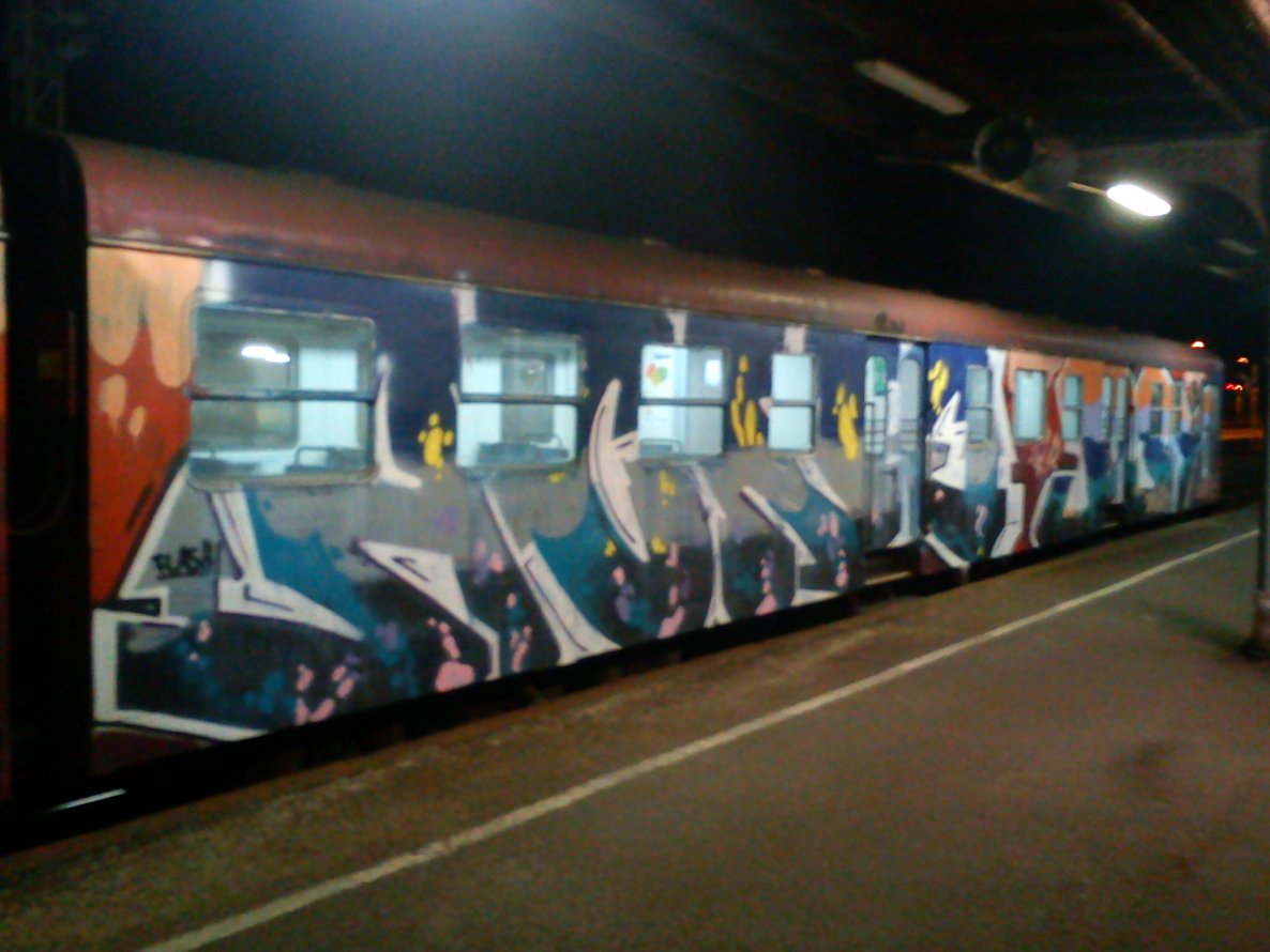 Graffiti Train - Photo by polskiezlote - acne, psy, wholecar