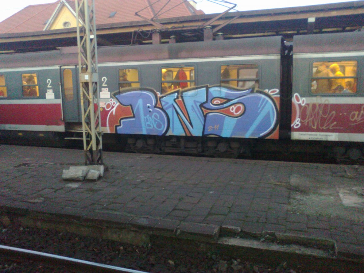 Graffiti Train - Photo by polskiezlote - bns, panel
