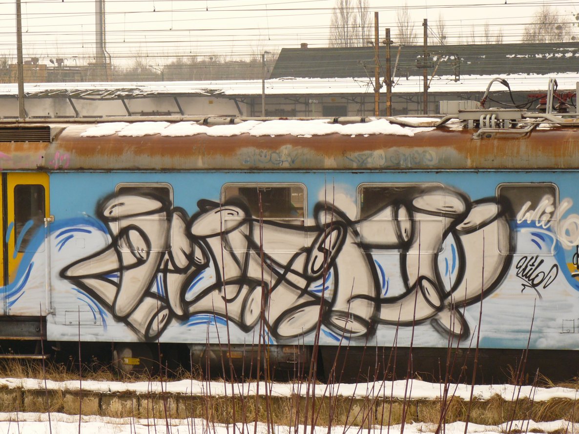 Graffiti Train - Photo by polskiezlote - dupsko, dupsco, wild