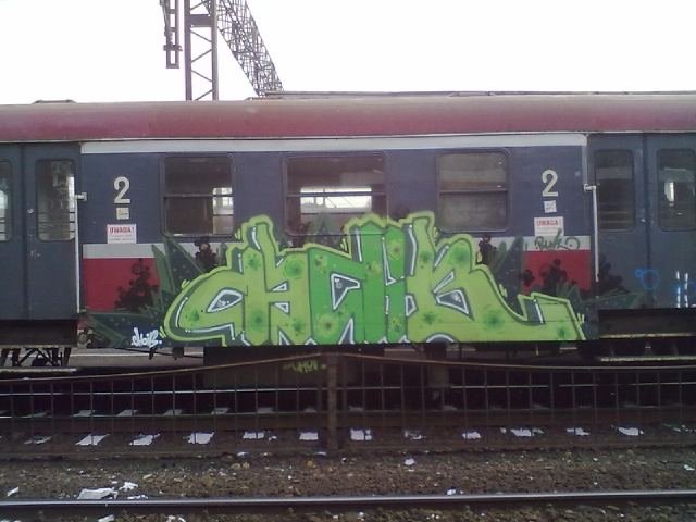 Graffiti Train - Photo by polskiezlote - hoib, buh