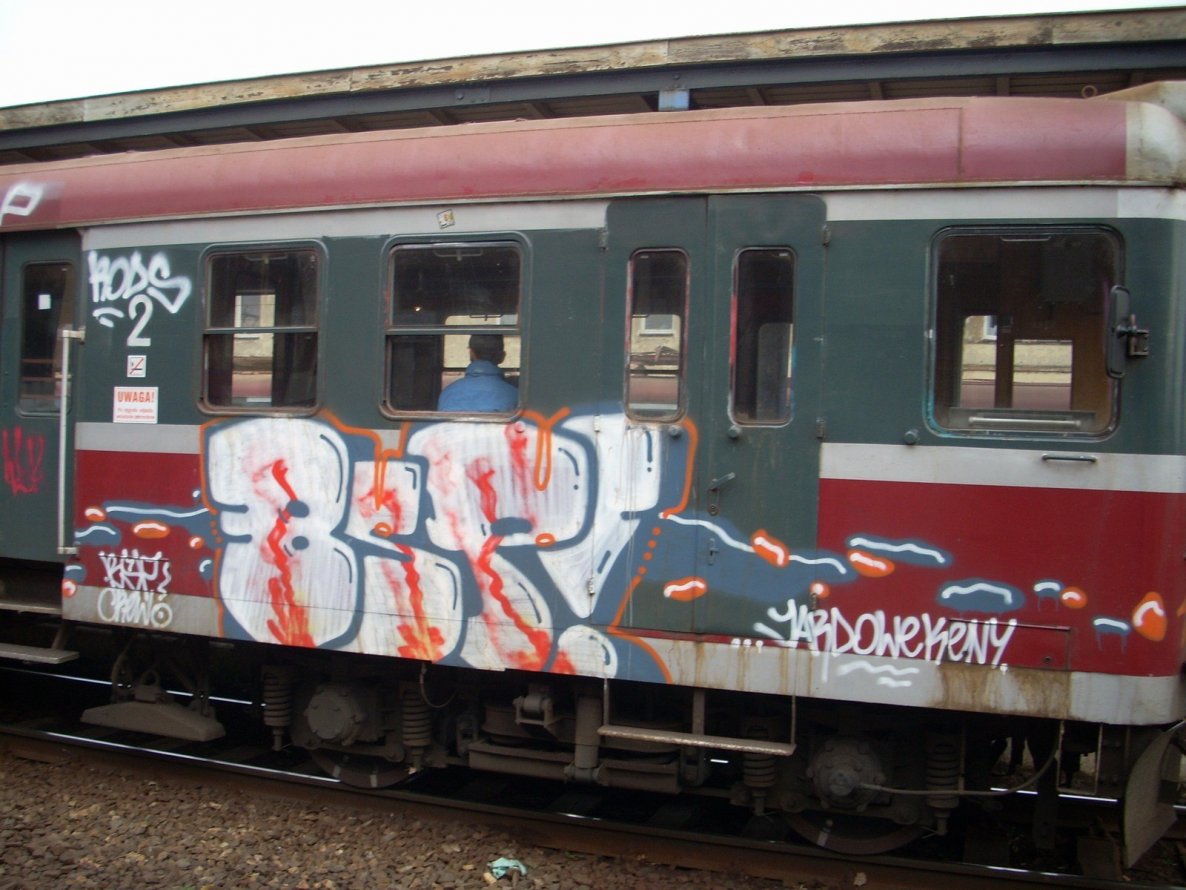 Graffiti Train - Photo by polskiezlote