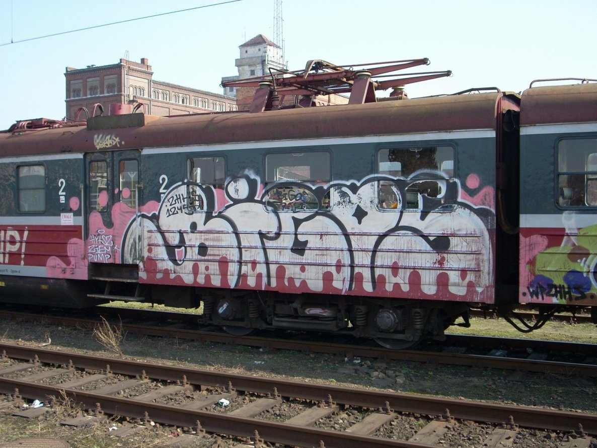 Graffiti Train - Photo by polskiezlote - bigos, rte, zhhs
