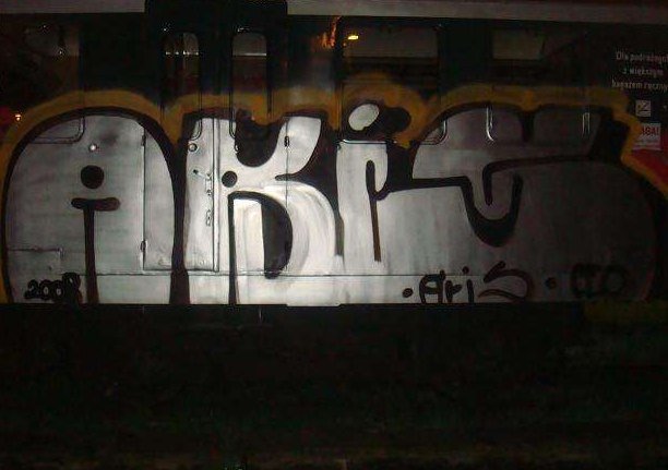 Graffiti Train - Photo by polskiezlote - aris