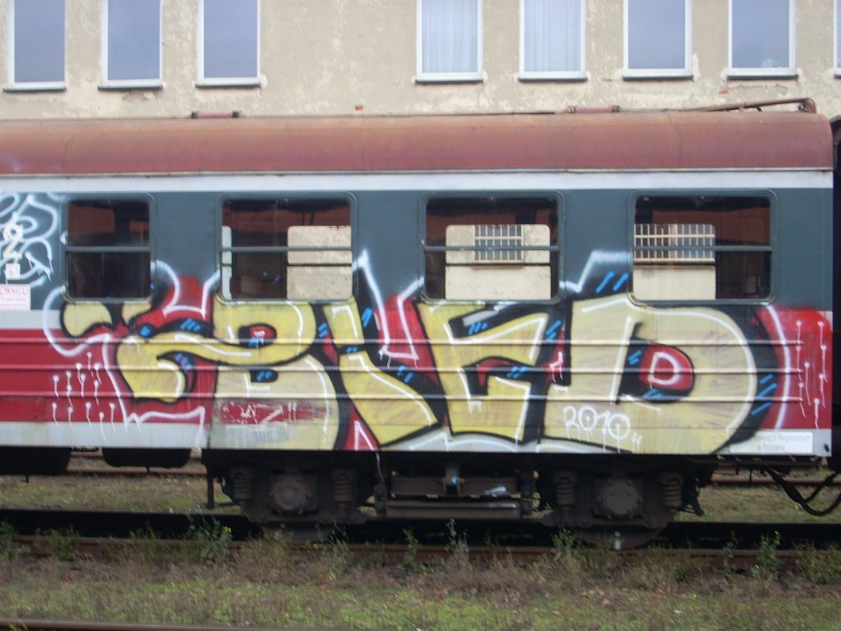 Graffiti Train - Photo by polskiezlote - bied, tfg