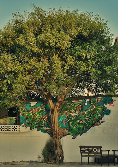 Graffiti Wall in Dubai - Photo by potiks - potiks, dubai (2014)