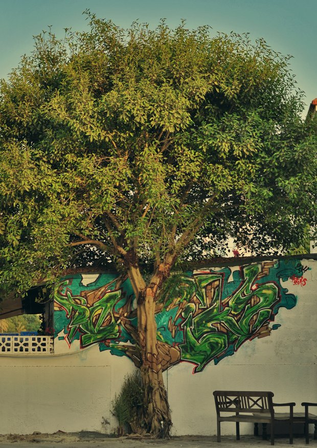 Graffiti Wall in Dubai - Photo by potiks - potiks, dubai (2014)