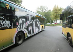 Photo #112380 by Strohhaut