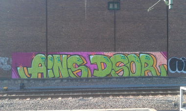 Graffiti Bombing - Photo by pringlesone