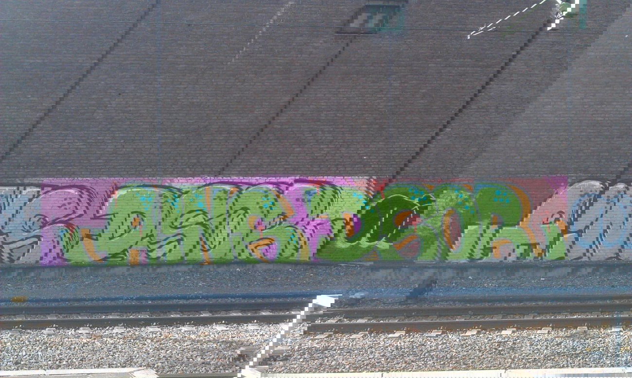 Graffiti Bombing - Photo by pringlesone