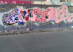 Photo #114665 by TagHagel