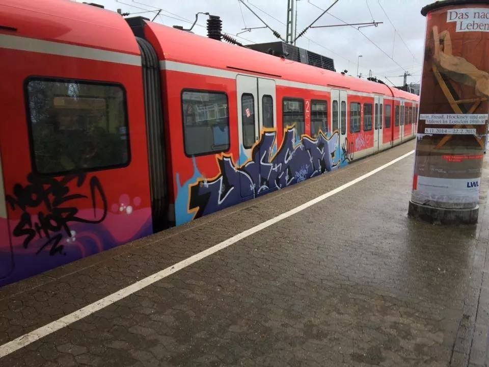 Graffiti Train - Photo by pringlesone - jesm (2014)