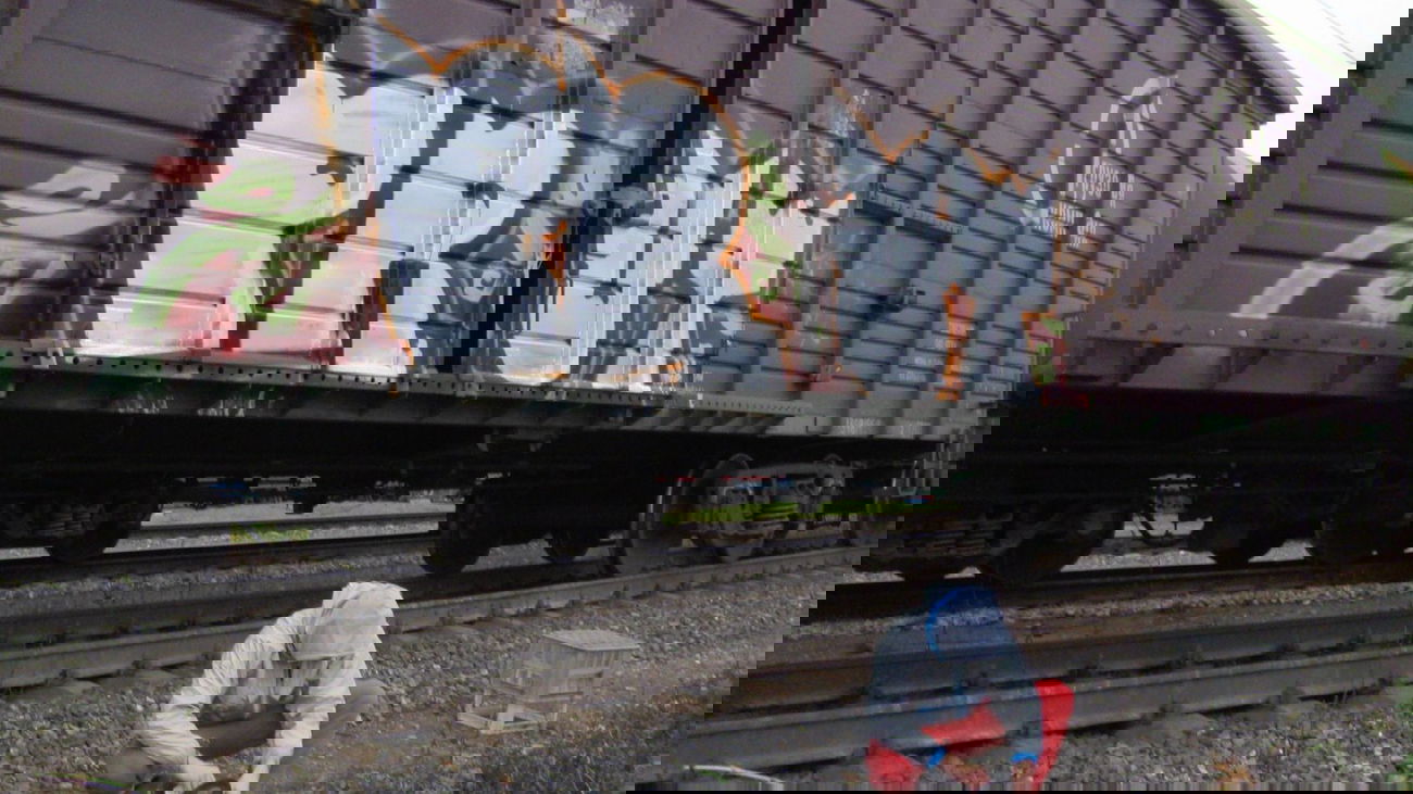 Graffiti Train - Photo by prut - PRut, SF-band (2013)