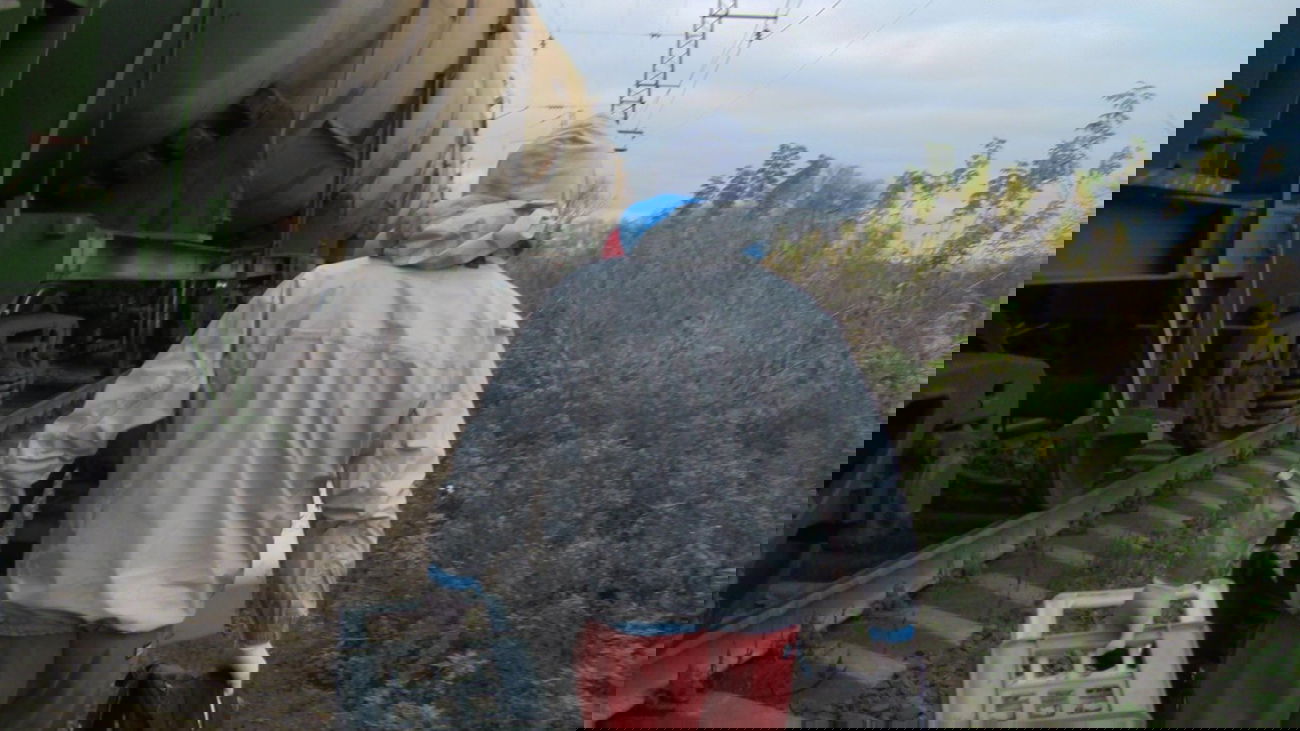 Graffiti Artwork - Photo by prut