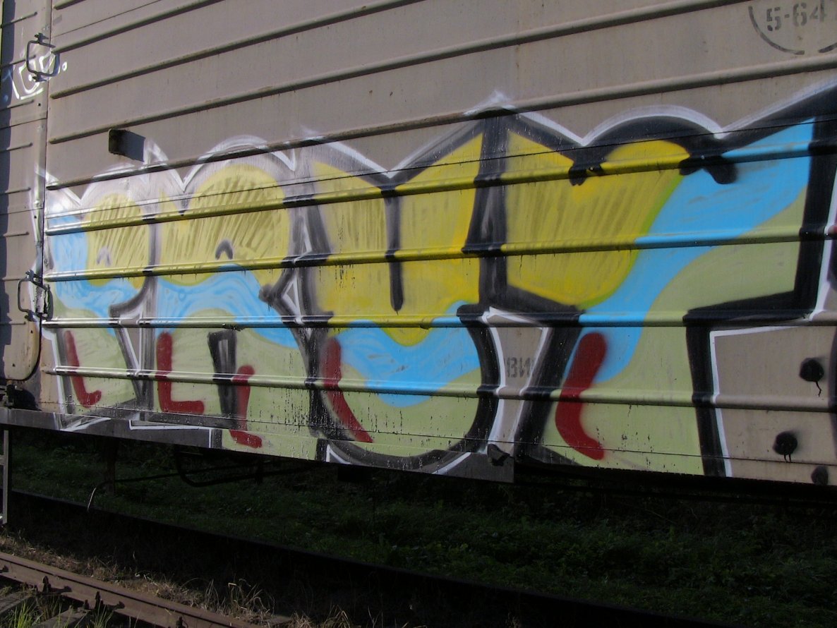 Graffiti Train - Photo by prut (2013)