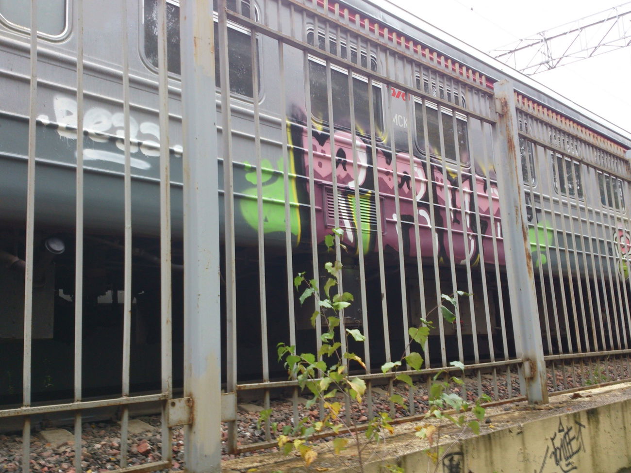 Graffiti Train in Настройка Расположения - Photo by prut - prut