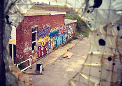 Photo #156857 by Belt