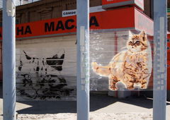 Photo #5654 by Osnova